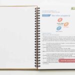 Sổ Lò Xo Da Pu DIC 9 sổ lò xo da pu sanxuatsotay.com.vn (3)